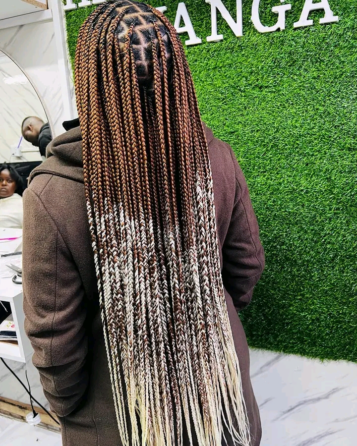 Best box braids, knotless, locs in Braamfontein (with pictures)