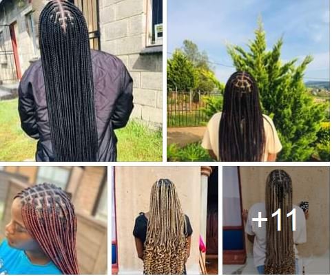 best knotless braids, box braids, cornrows, ponytails, freehand in Durban