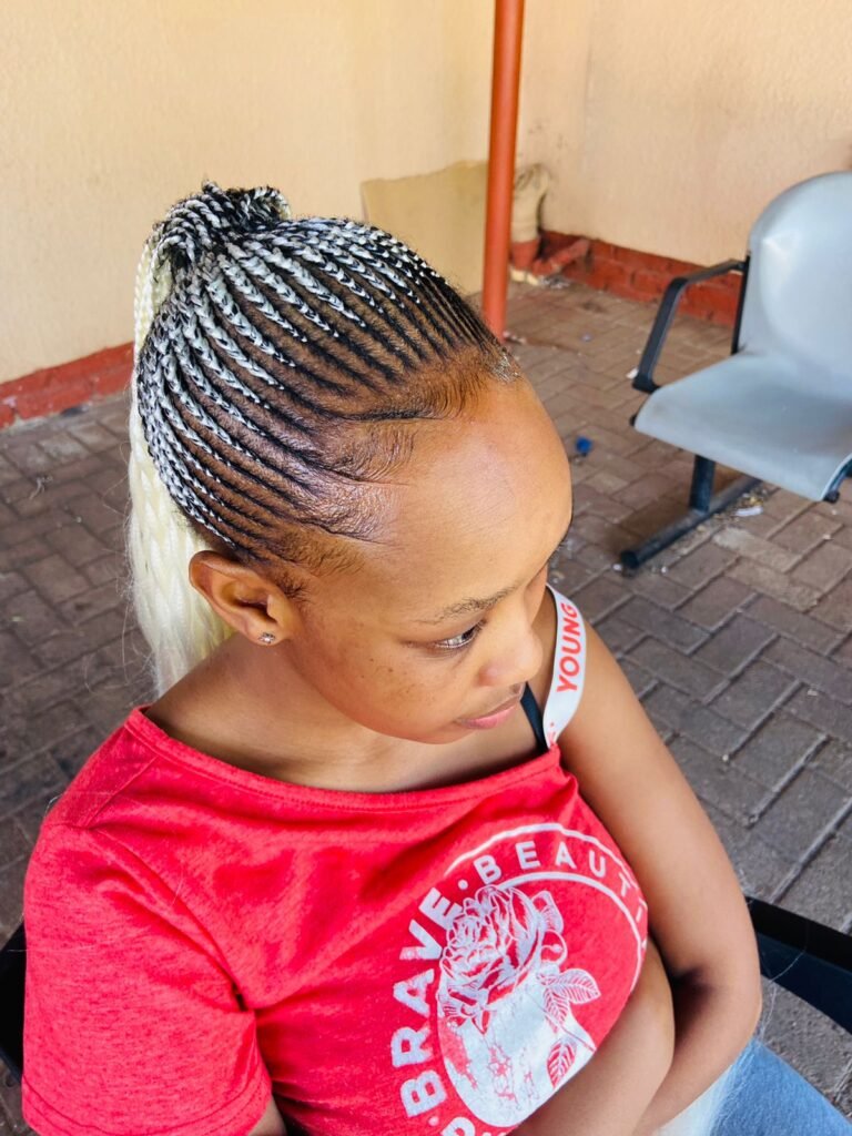 Best twists, box, knotless braids, Brazilian wigs in randfontein (with pictures)