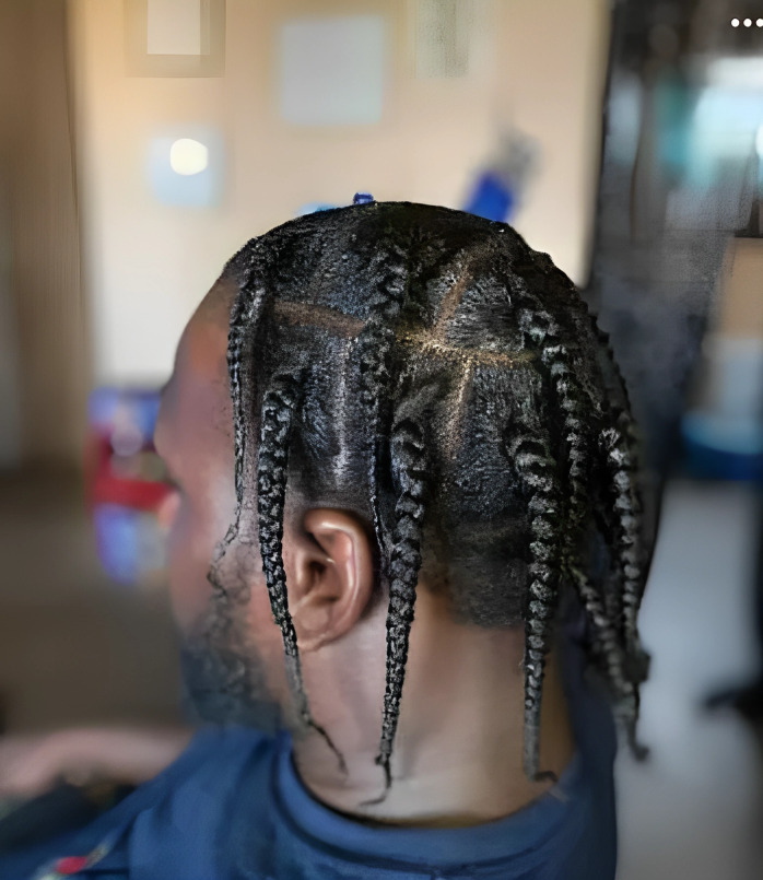 Men braids hairstyles photos and ideas